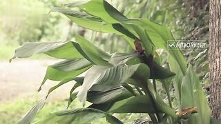 [国产]危情的士野外迷奸 王筱璐